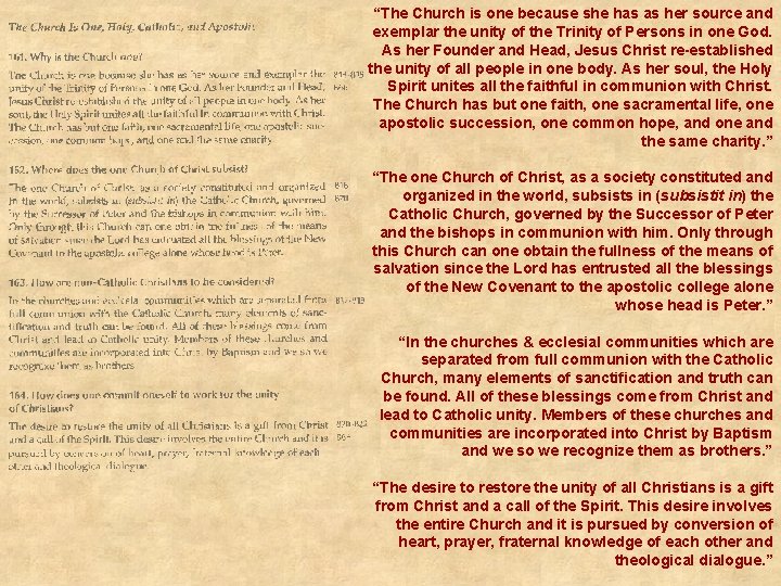 “The Church is one because she has as her source and exemplar the unity