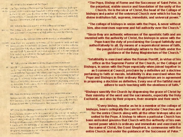 “The Pope, Bishop of Rome and the Successor of Saint Peter, is the perpetual,