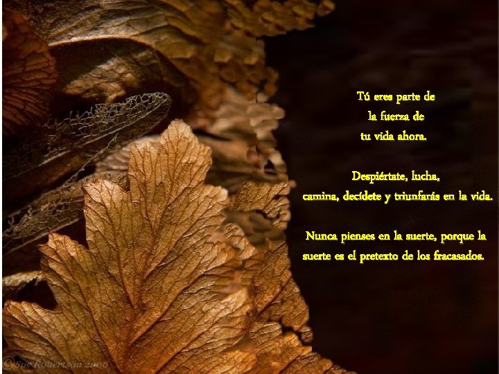 Tú eres parte de la fuerza de tu vida ahora. Despiértate, lucha, camina, decídete