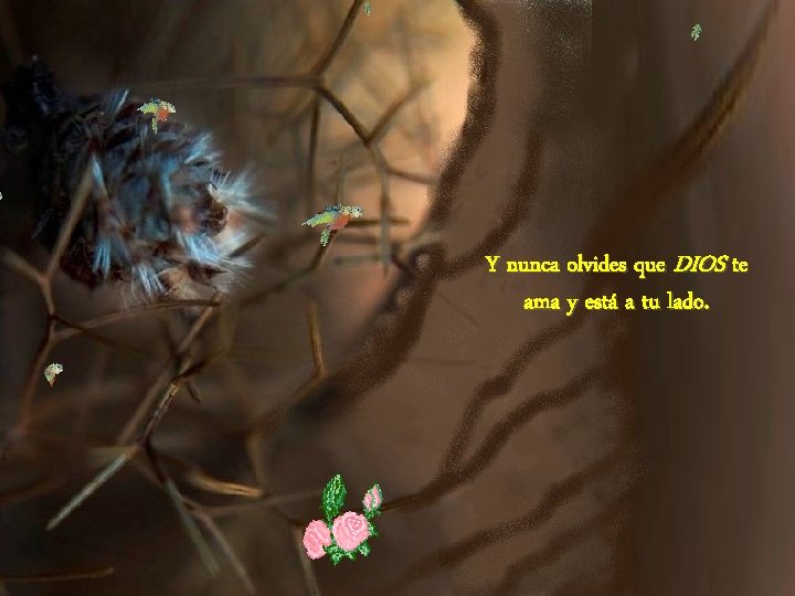 Y nunca olvides que DIOS te ama y está a tu lado. 