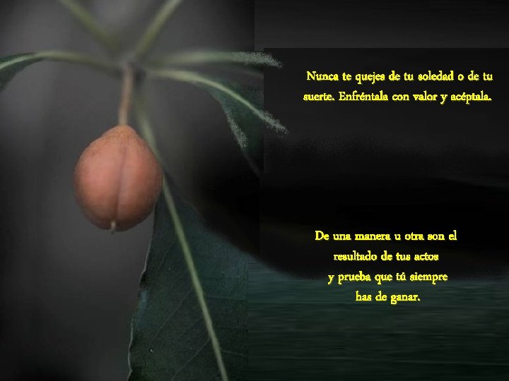 Nunca te quejes de tu soledad o de tu suerte. Enfréntala con valor y