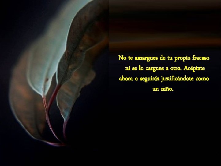 No te amargues de tu propio fracaso ni se lo cargues a otro. Acéptate