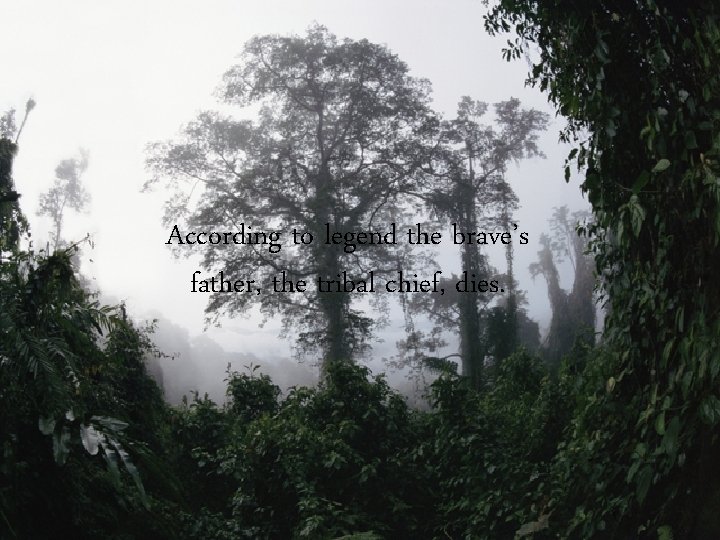 According to legend the brave’s father, the tribal chief, dies. According to legend the brave’s father, the tribal chief, dies.