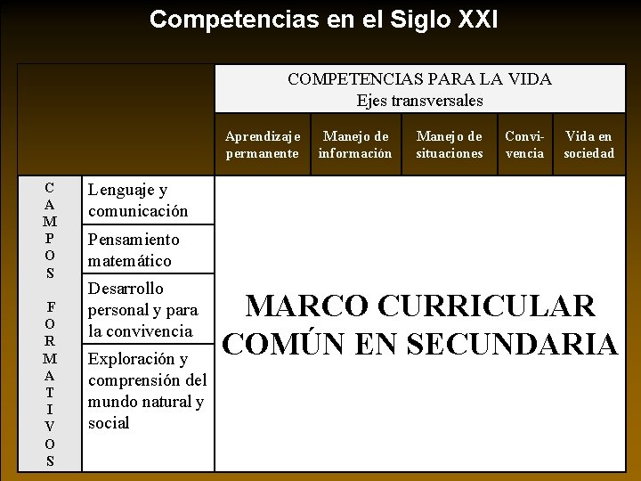 Competencias en el Siglo XXI COMPETENCIAS PARA LA VIDA Ejes transversales Aprendizaje permanente C