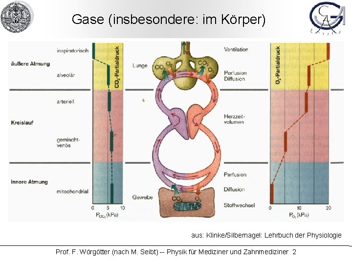 Gase (insbesondere: im Körper) aus: Klinke/Silbernagel: Lehrbuch der Physiologie Prof. F. Wörgötter (nach M.
