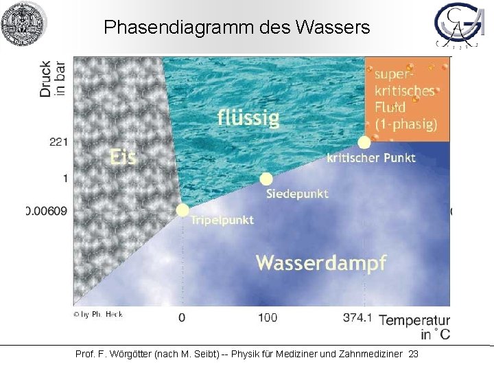Phasendiagramm des Wassers Prof. F. Wörgötter (nach M. Seibt) -- Physik für Mediziner und