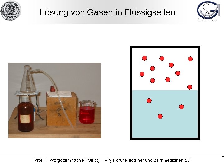 Lösung von Gasen in Flüssigkeiten Prof. F. Wörgötter (nach M. Seibt) -- Physik für