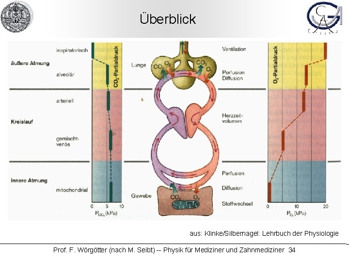 Überblick aus: Klinke/Silbernagel: Lehrbuch der Physiologie Prof. F. Wörgötter (nach M. Seibt) -- Physik