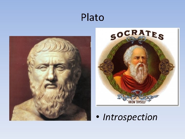 Plato • Introspection 