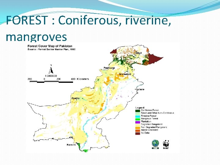FOREST : Coniferous, riverine, mangroves FOREST : Coniferous, riverine, mangroves