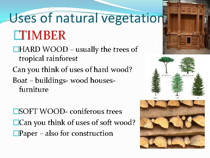 Uses of natural vegetation �TIMBER �HARD WOOD – usually the trees of tropical rainforest Uses of natural vegetation �TIMBER �HARD WOOD – usually the trees of tropical rainforest