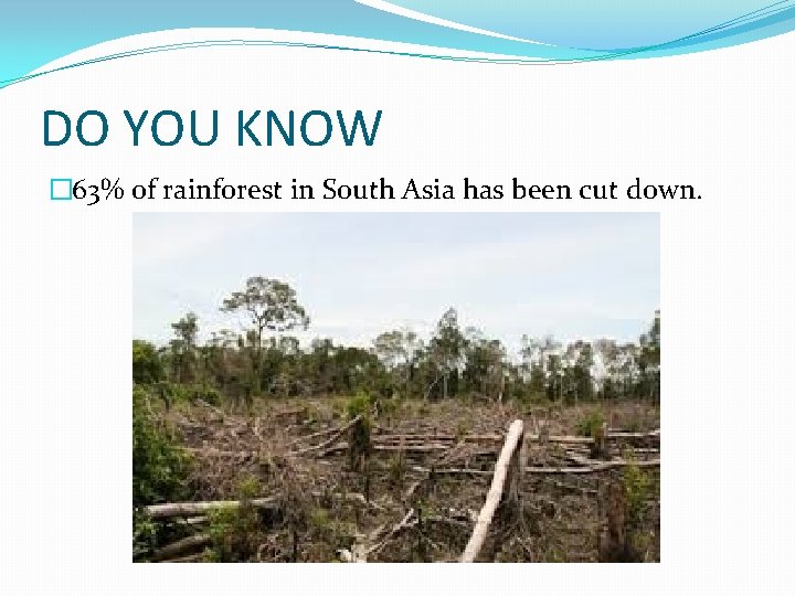 DO YOU KNOW � 63% of rainforest in South Asia has been cut down. DO YOU KNOW � 63% of rainforest in South Asia has been cut down.
