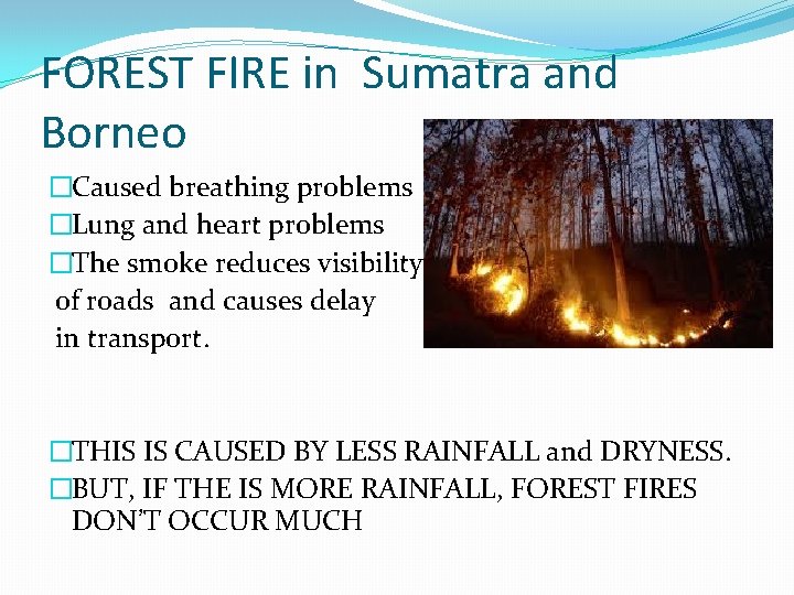 FOREST FIRE in Sumatra and Borneo �Caused breathing problems �Lung and heart problems �The FOREST FIRE in Sumatra and Borneo �Caused breathing problems �Lung and heart problems �The