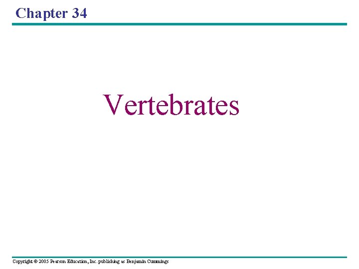 Chapter 34 Vertebrates Copyright © 2005 Pearson Education, Inc. publishing as Benjamin Cummings 