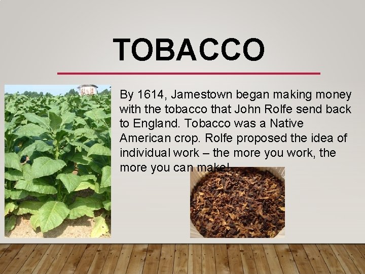 TOBACCO By 1614, Jamestown began making money with the tobacco that John Rolfe send