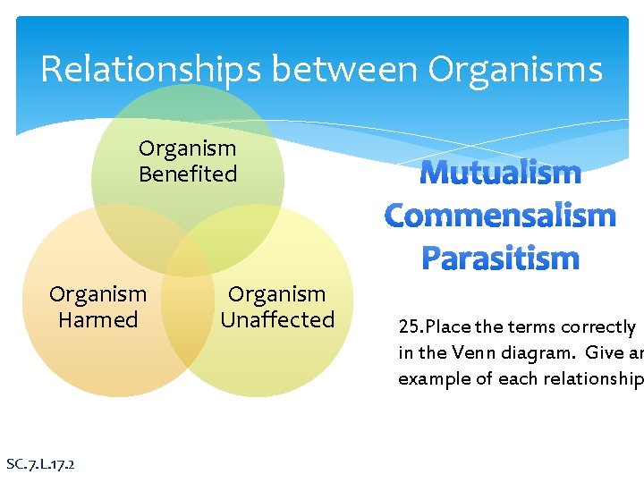 Relationships between Organisms Organism Benefited Organism Harmed SC. 7. L. 17. 2 Organism Unaffected