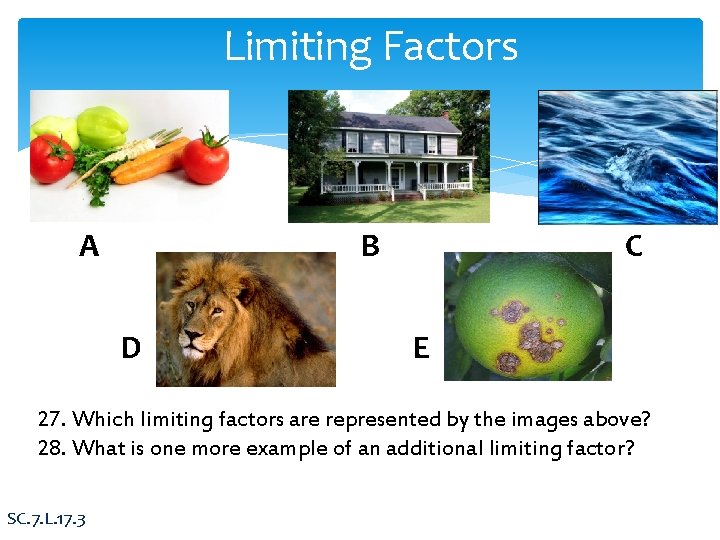 Limiting Factors A B D C E 27. Which limiting factors are represented by