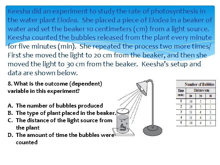 Keesha did an experiment to study the rate of photosynthesis in the water plant