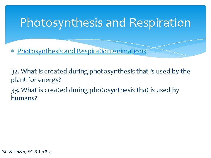 Photosynthesis and Respiration Animations 32. What is created during photosynthesis that is used by