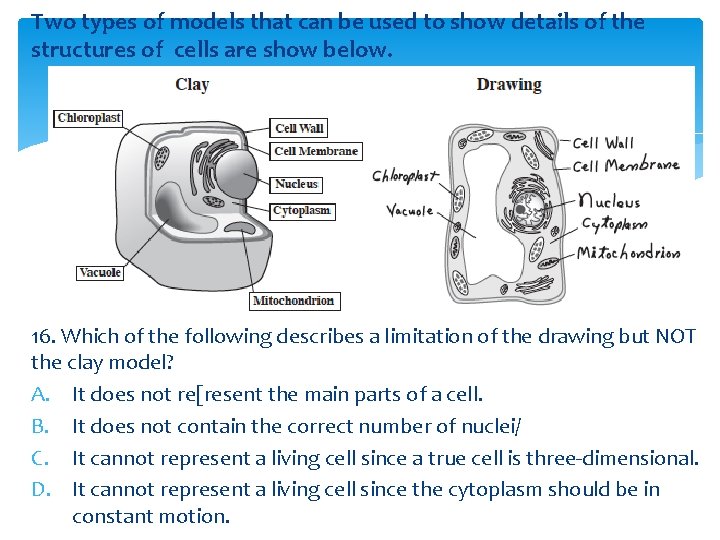 Two types of models that can be used to show details of the structures