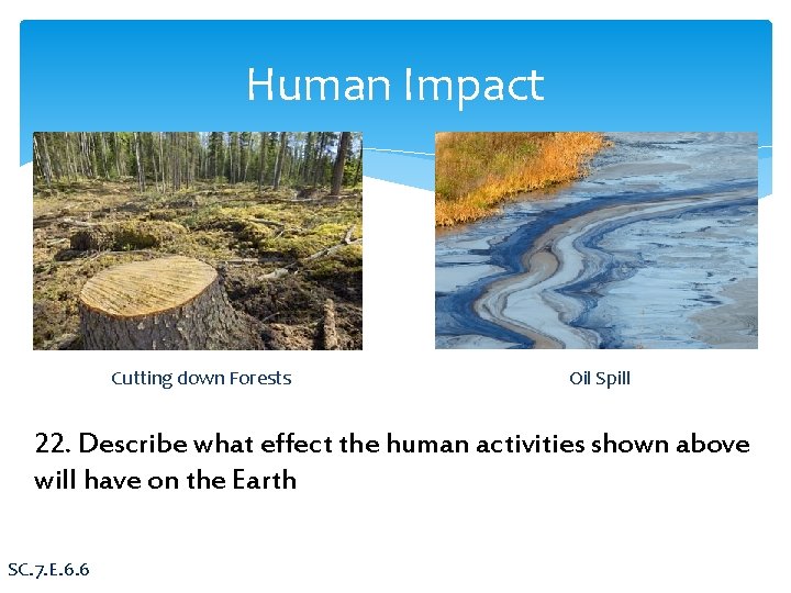 Human Impact Cutting down Forests Oil Spill 22. Describe what effect the human activities