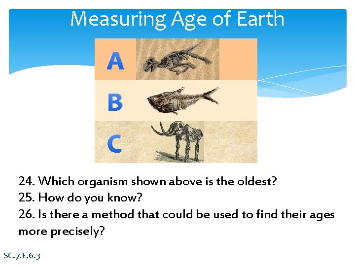 Measuring Age of Earth A B C 24. Which organism shown above is the