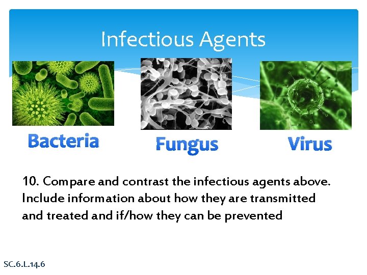 Infectious Agents Bacteria Fungus Virus 10. Compare and contrast the infectious agents above. Include