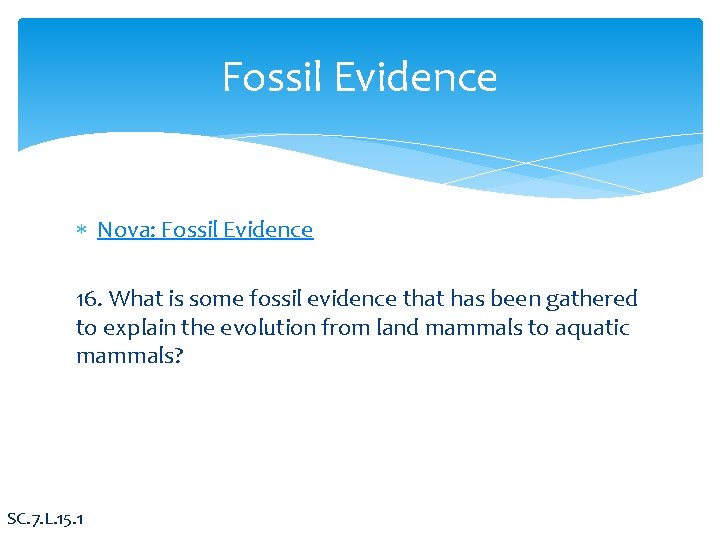 Fossil Evidence Nova: Fossil Evidence 16. What is some fossil evidence that has been