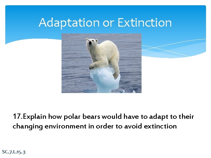 Adaptation or Extinction 17. Explain how polar bears would have to adapt to their