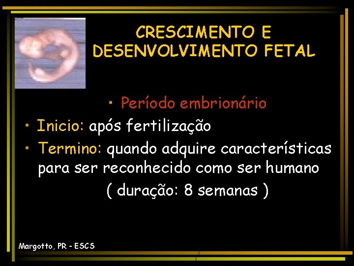 CRESCIMENTO E DESENVOLVIMENTO FETAL • Período embrionário • Inicio: após fertilização • Termino: quando