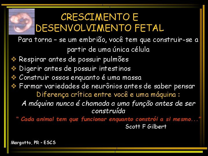 CRESCIMENTO E DESENVOLVIMENTO FETAL Para torna – se um embrião, você tem que construir-se