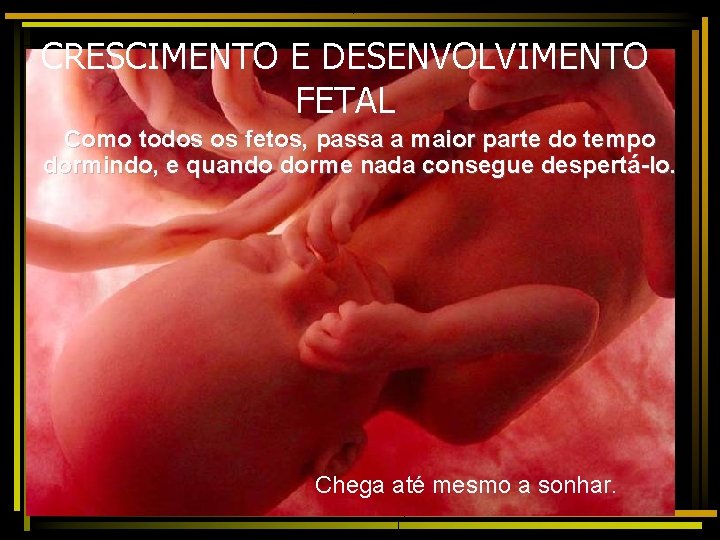 CRESCIMENTO E DESENVOLVIMENTO FETAL Como todos os fetos, passa a maior parte do tempo