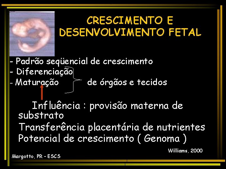 CRESCIMENTO E DESENVOLVIMENTO FETAL - Padrão seqüencial de crescimento - Diferenciação - Maturação de