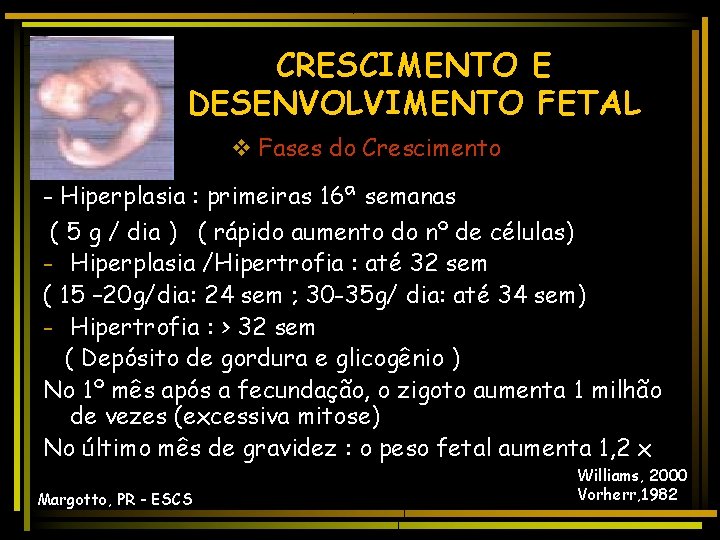 CRESCIMENTO E DESENVOLVIMENTO FETAL v Fases do Crescimento - Hiperplasia : primeiras 16ª semanas