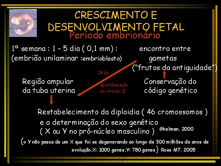 CRESCIMENTO E DESENVOLVIMENTO FETAL Período embrionário 1ª semana : 1 – 5 dia (