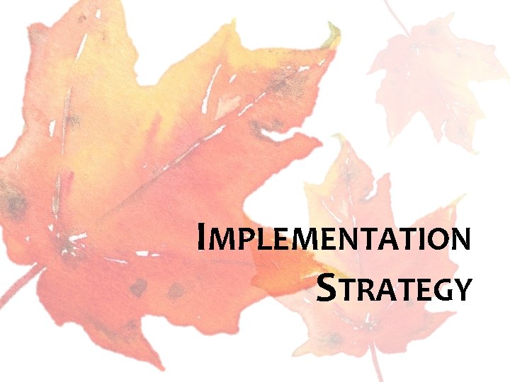 IMPLEMENTATION STRATEGY 