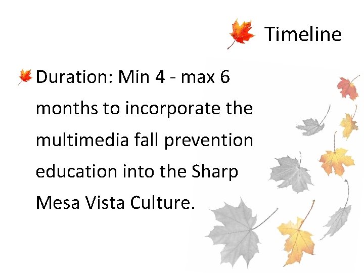 Timeline • Duration: Min 4 - max 6 months to incorporate the multimedia fall