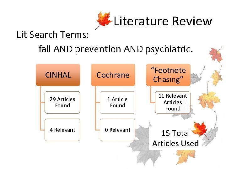 Literature Review Lit Search Terms: fall AND prevention AND psychiatric. Cochrane “Footnote Chasing” 29