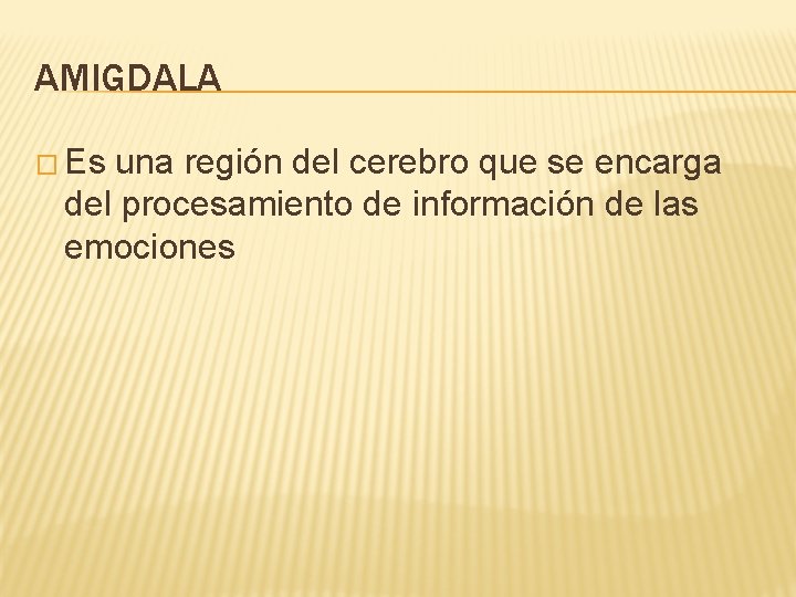 AMIGDALA � Es una región del cerebro que se encarga del procesamiento de información