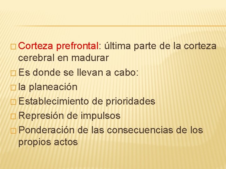 � Corteza prefrontal: última parte de la corteza cerebral en madurar � Es donde