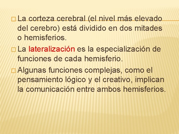 � La corteza cerebral (el nivel más elevado del cerebro) está dividido en dos