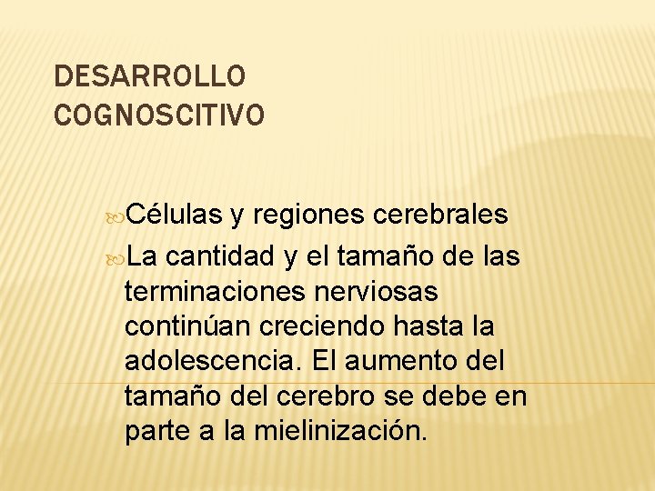 DESARROLLO COGNOSCITIVO Células y regiones cerebrales La cantidad y el tamaño de las terminaciones