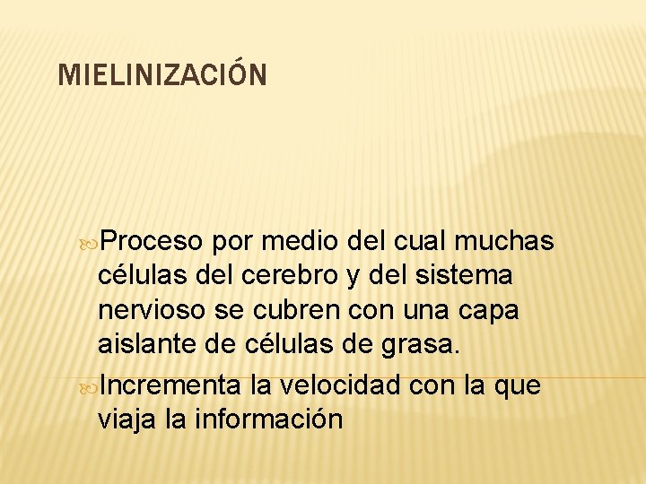 MIELINIZACIÓN Proceso por medio del cual muchas células del cerebro y del sistema nervioso