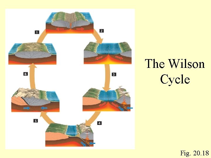 The Wilson Cycle Fig. 20. 18 