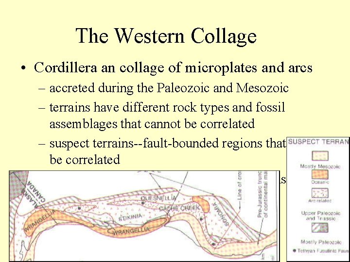 The Western Collage • Cordillera an collage of microplates and arcs – accreted during