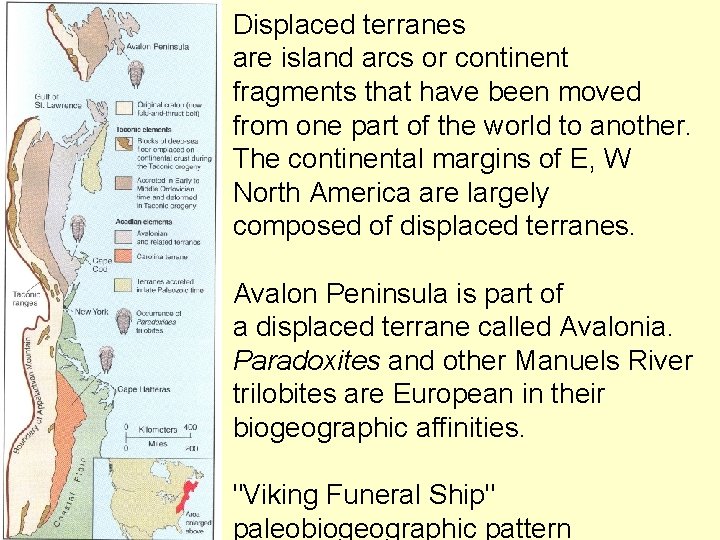 Displaced terranes are island arcs or continent fragments that have been moved from one