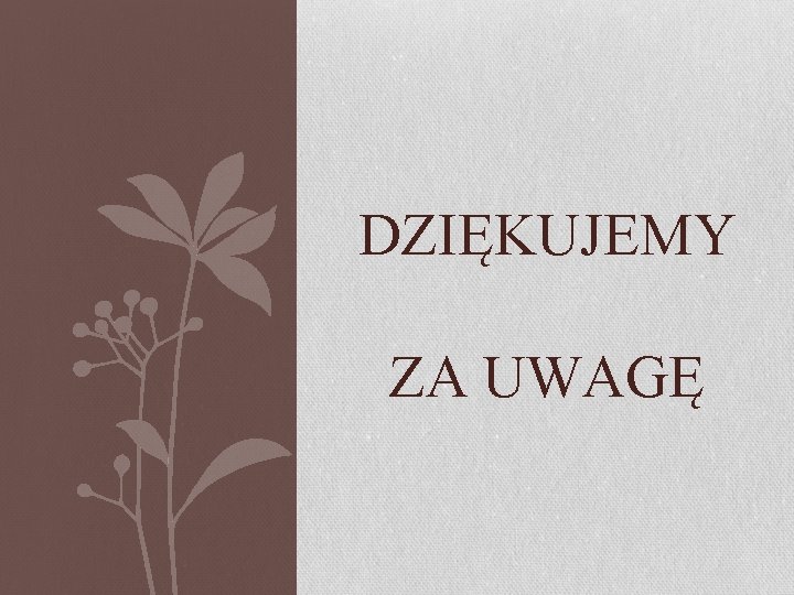 DZIĘKUJEMY ZA UWAGĘ 