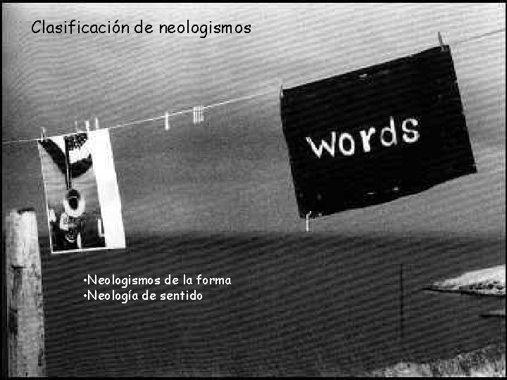 Clasificación de neologismos • Neologismos de la forma • Neología de sentido 