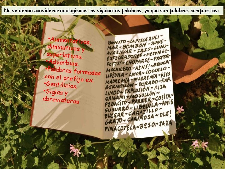 No se deben considerar neologismos las siguientes palabras, ya que son palabras compuestas :