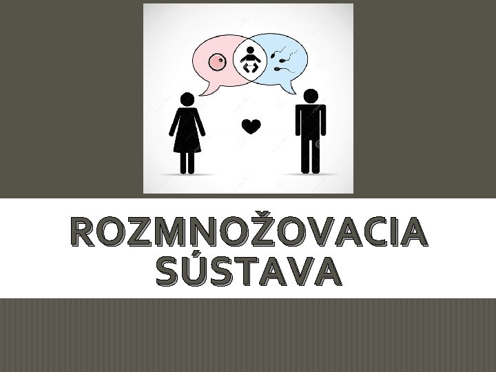ROZMNOŽOVACIA SÚSTAVA 